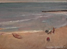 Schelpenverzamelaars Schelpenverzamelaars