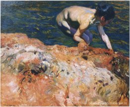 Op zoek naar schelpdieren Op zoek naar schelpdieren