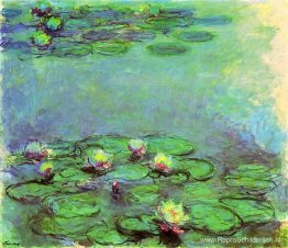 Waterlelies Waterlelies