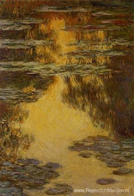 Waterlelies Waterlelies