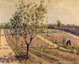 Moestuin, Petit Gennevilliers Moestuin, Petit Gennevilliers