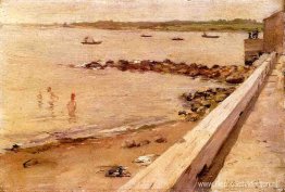 De zwemmers De zwemmers