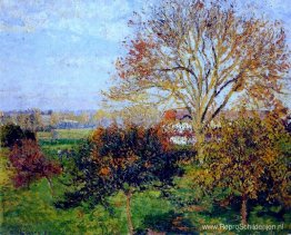 Herfstochtend in Eragny Herfstochtend in Eragny