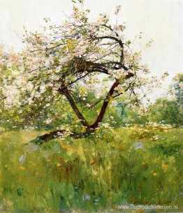 Perzikbloesems - Villiers-le-Bel Perzikbloesems - Villiers-le-Bel