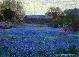 Bluebonnets op een grijze dag Bluebonnets op een grijze dag
