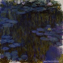 Waterlelies Waterlelies