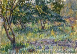 Belkino. Tuin. Belkino. Tuin.