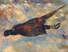 Dode Fazant in de sneeuw Dode Fazant in de sneeuw