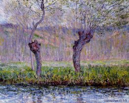 Wilgen in de lente Wilgen in de lente