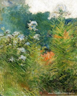 Wilde bloemen Wilde bloemen