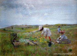 De Kleine Tuin De Kleine Tuin