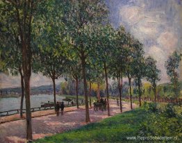 Steegje van kastanjebomen Steegje van kastanjebomen