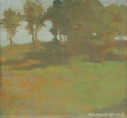 Zomer landschap Zomer landschap