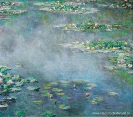 Waterlelies Waterlelies