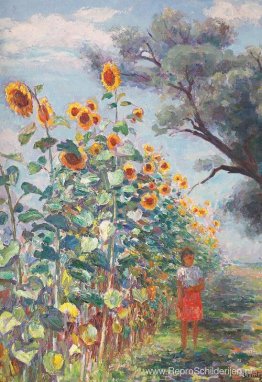 De zonnebloem is gegroeid De zonnebloem is gegroeid
