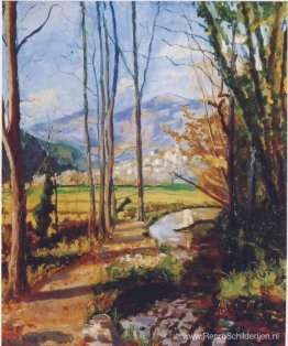 Uitzicht op de rivier de Var Uitzicht op de rivier de Var