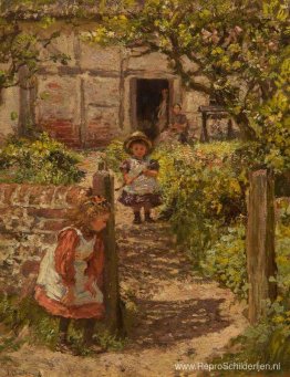 Verstoppertje Verstoppertje