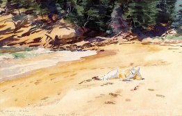 Zandstrand, Schoener Head, Maine Zandstrand, Schoener Head, Maine