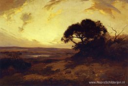 Gouden Avond, Zuidwest-Texas Gouden Avond, Zuidwest-Texas