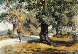 Waydise Inn, Sudbury Mass Waydise Inn, Sudbury Mass