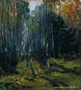 Herfst bos Herfst bos