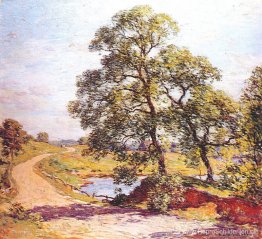 De Kronkelende Weg De Kronkelende Weg