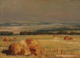 Zomer landschap Zomer landschap