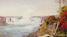 Uitzicht op beide watervallen van Niagara Uitzicht op beide watervallen van Niagara