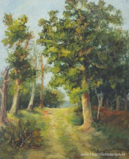 Mogoşoaia-bospad Mogoşoaia-bospad