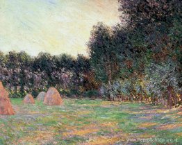 Weiland met hooibergen nabij Giverny Weiland met hooibergen nabij Giverny