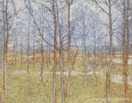 Lente landschap Lente landschap