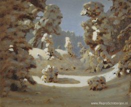 Winter. Zonlicht op de rijp Winter. Zonlicht op de rijp