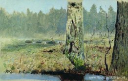 Stammen van bomen Stammen van bomen
