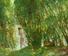 Bij zonsondergang Bij zonsondergang