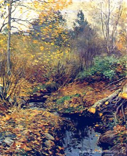 Landschap Landschap