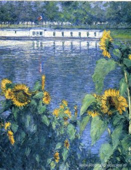 Zonnebloemen aan de oevers van de Seine Zonnebloemen aan de oevers van de Seine