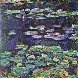 Waterlelies Waterlelies