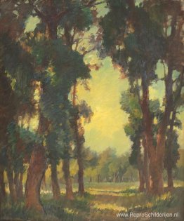 Bos Uitzicht Bos Uitzicht