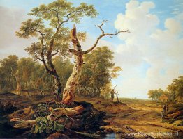 Landschap met dode boom Landschap met dode boom