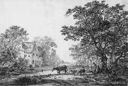 Boslandschap Boslandschap