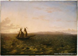 Het eiland Madeira Het eiland Madeira