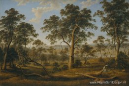 Launceston en de rivier de Tamar Launceston en de rivier de Tamar