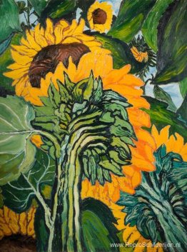 Zonnebloemen Zonnebloemen