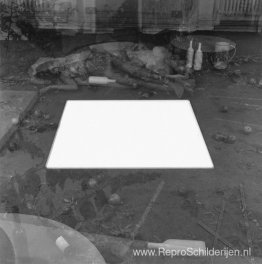 Vier onderwerpen gelijkmatig verdeeld over een voorbereid terrei Vier onderwerpen gelijkmatig verdeeld over een voorbereid terrei