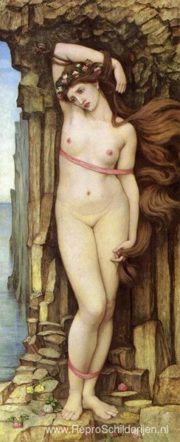 Andromeda Andromeda