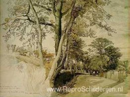 Bomen studie Bomen studie