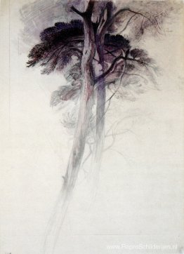 Studie van bomen van Turner Studie van bomen van Turner