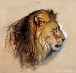 Lion's profiel uit het leven Lion's profiel uit het leven