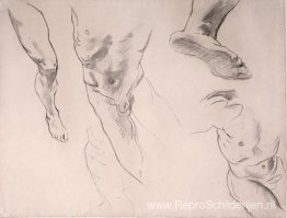 Figuurstudies van een mannelijke jeugd Figuurstudies van een mannelijke jeugd
