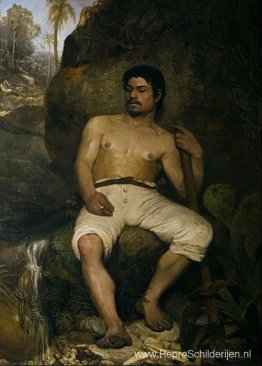 De Braziliaanse houthakker De Braziliaanse houthakker